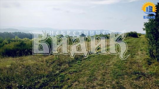 Kragujevac, Dobojska ID#2304