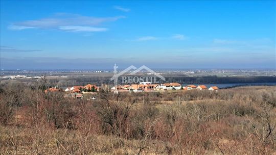Palilula - Višnjica, Uroša Marovića - 20.75a ID#24