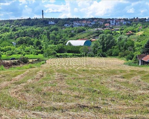 Plac,Petrovaradin,Alibegovac,kv: 608.00