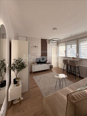 Renoviran stan/garsonjera – Novi Beograd, Fontana