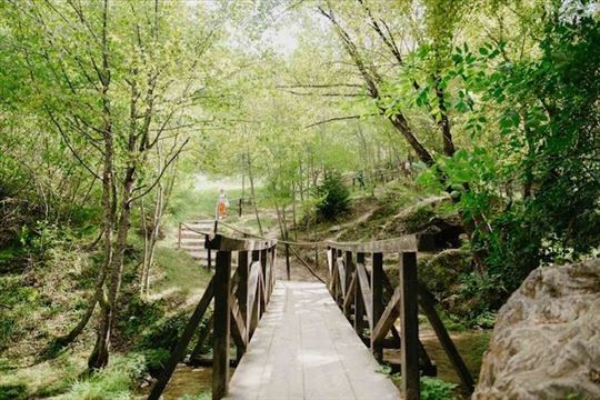 Vila Zlatibor - Šainovci 