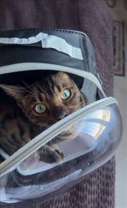 Transporter ranac za male macke i kuce