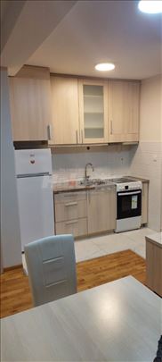 Preko puta bazena kengur