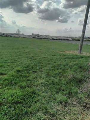 Surcin Petrovcic gradjevinsko zemljiste ID#1101