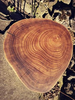 2 unikatna klub stočića