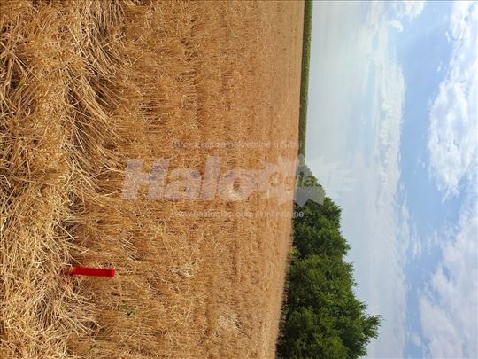 Batajnica ,sangaj ,plac 7.3 ar