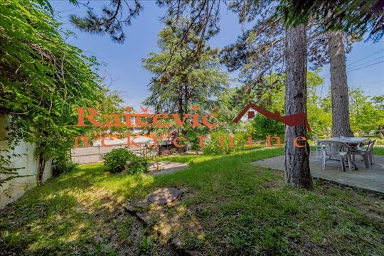 Dedinje, kuca 300 m2 na 17 ari placa