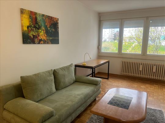 renoviran ,Brace Jerkovic