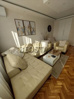 Centar - Zvezdara, Lion #66868