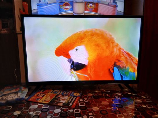 LG 55 inča T2 139cm