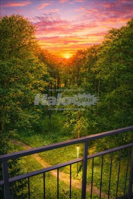 Miljakovac, stan, izdavanje,vlasnik