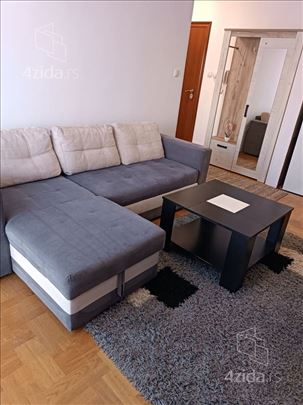 Namesten jednoiposoban stan, Radoja Domanovica