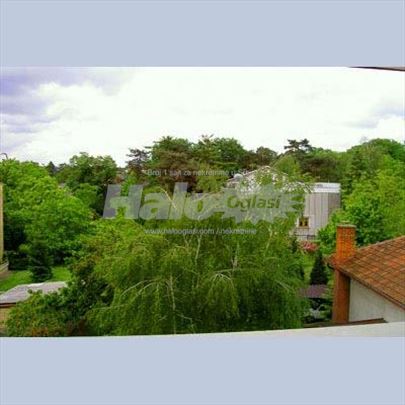 Stan, Ružićeva, kod stadiona FK Partizan