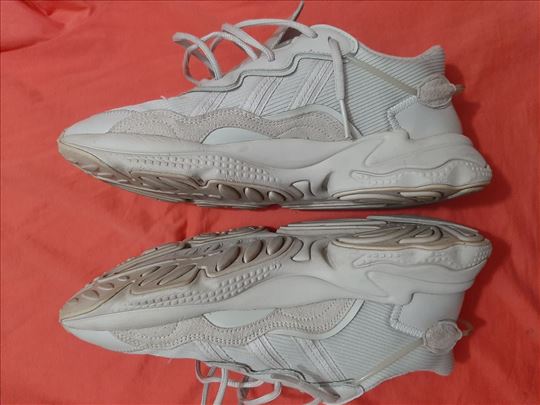 Adidas NY