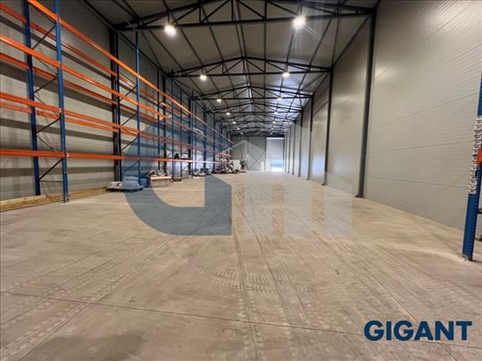 Batajnica-Pukovnika Milenka Pavlovića, 600m2, hala