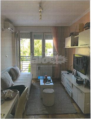 Izdajem lep i svetao stan 38 m2