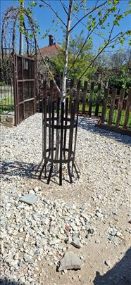 Metalna zastita za drvo sadnice stabla