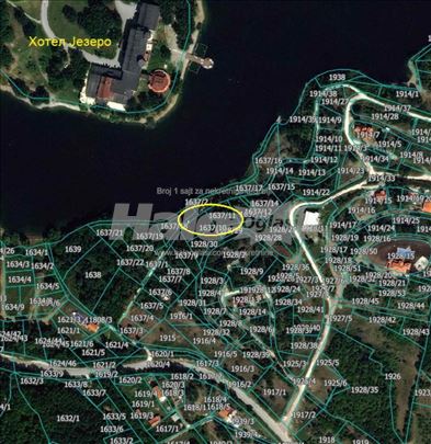 Plačevi na Borskom jezeru