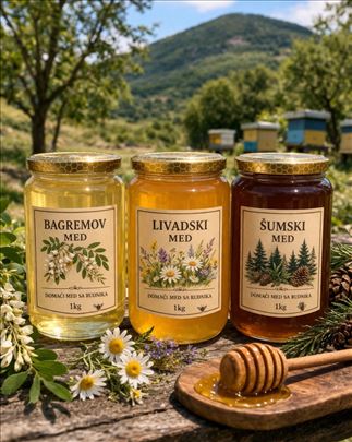 Domaći prirodni med sa Rudnika