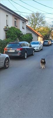 Karaburma kod Dragoslava Srejovica Moze KREDIT