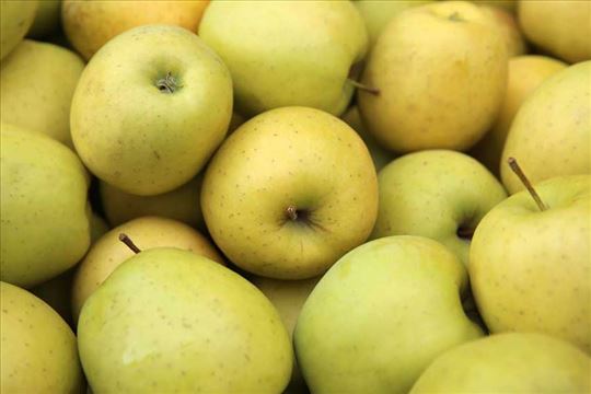 Prodajem jabuku za rakiju