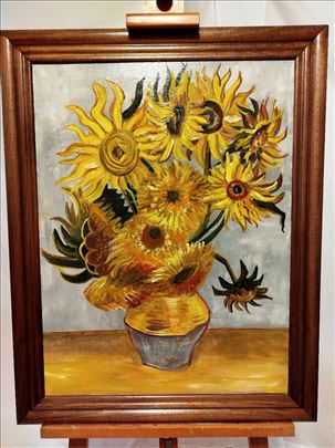 Suncokreti, Dejan Miljević