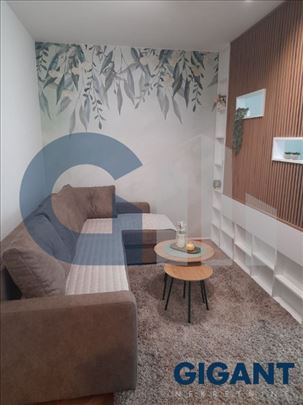 Dedinje, 38m2, I, cg, namešten, renoviran