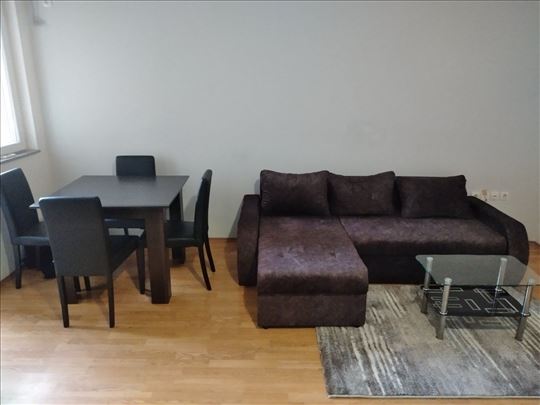 Jednoiposoban namešten stan.Nova Detelinara