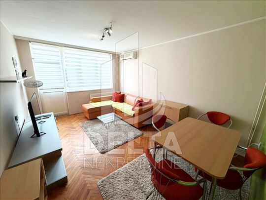 Jednoiposoban stan na Bulevaru, kod parka 