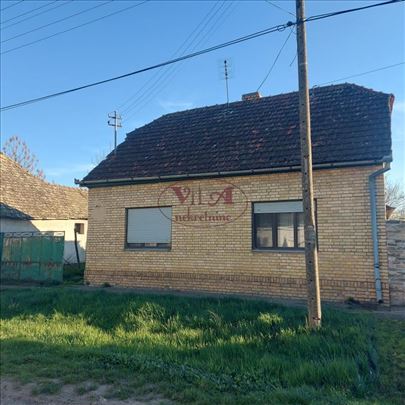 Srbobran, Odlična kuća od čvrstog materijala