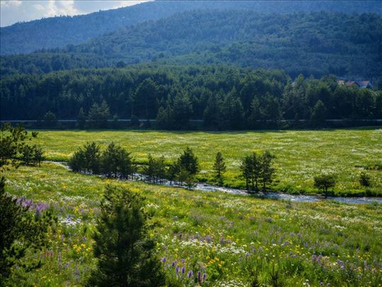 Vodice, 70 ari, Izuzetan plac, Preporuka!