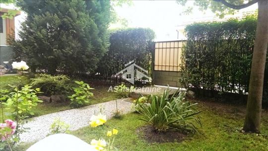 Beograd, Olimp, Stan, 1.5, 43m2