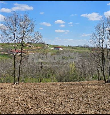 Exskluziva na Kosmaju