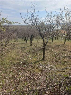 Grocka-Cigansko brdo 34 ara, građ.zem., struja