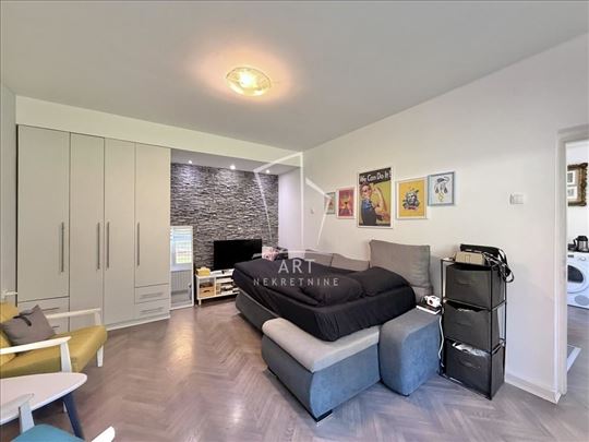 Karaburma, 42m2, kompletno renpviran ID#14633