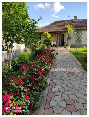 Kraljevo - Adrani - kuća - parcele