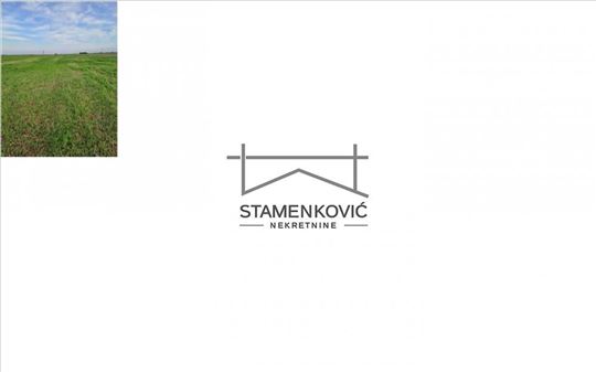 Poljoprivredno zemljište u Žablju ID#6937