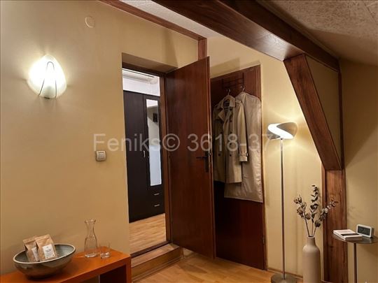 Prodaja stana, Institut za majku i dete