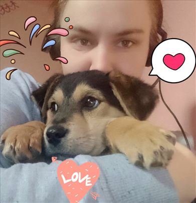 Udomljava se predobro, mirno stene Bg/NS/Pa