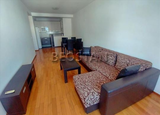 Centar - Lion #66972