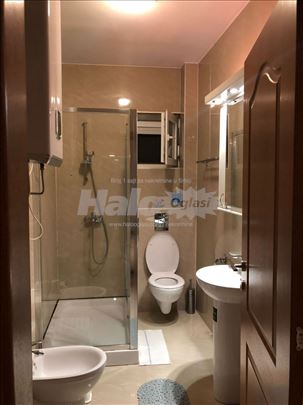 Izdavanje stana Dedinje