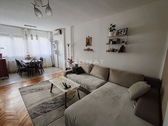 Konjarnik - Danice Marković ID#5566