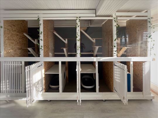 Pansion za mačke Crna Mačka Beli Mačor