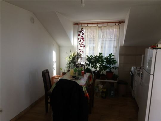 Popova bara Nova 204. Borča Palilula Beograd Sr...