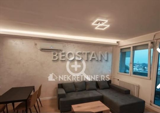 Zemun - Save Kovačevica #66651