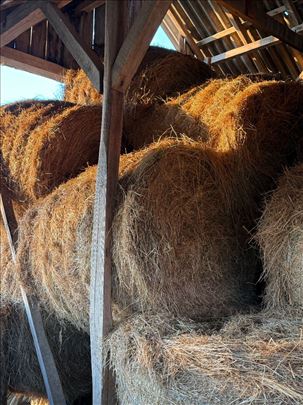 Prodajem livadsko seno, rolo bale