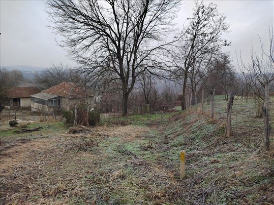 Barajevo, Milosava Ivkovića