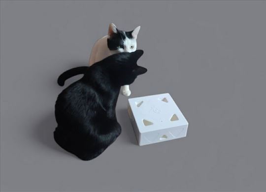 Čuvanje mačaka kod mene ili kod vas