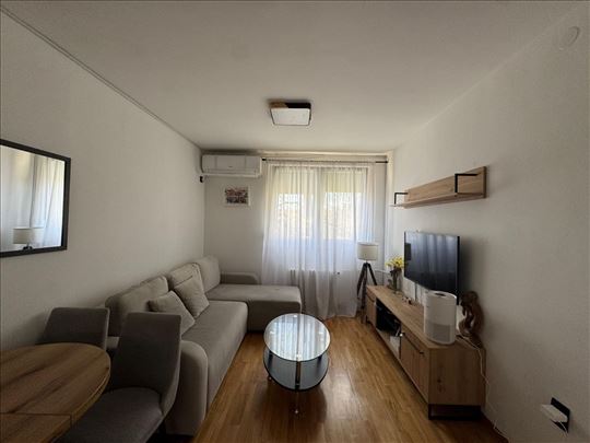 Kompletno luks namešten , Ivana Mičurina