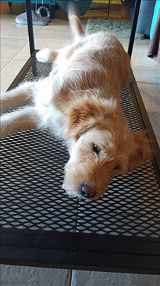  Zdravo! Zovem se Milica (možete me zvati Mimi) 